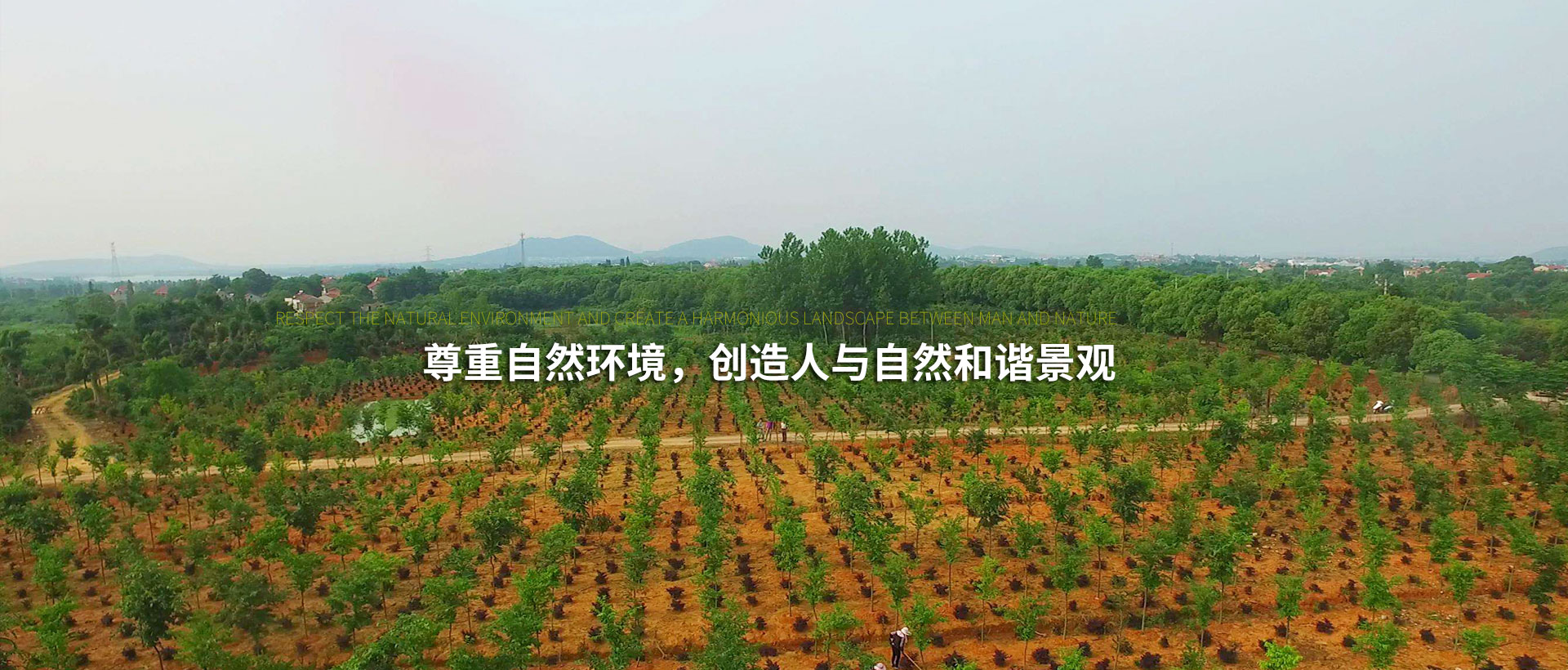 尊重自然环境，创造人与自然和谐景观